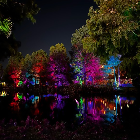 rainbow_raver